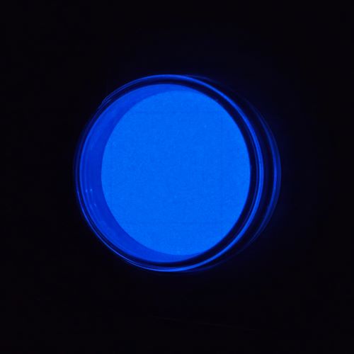 23c45ff1a8f48ce3d55bb802d956c464_1703756748_4003_1703756796.jpg